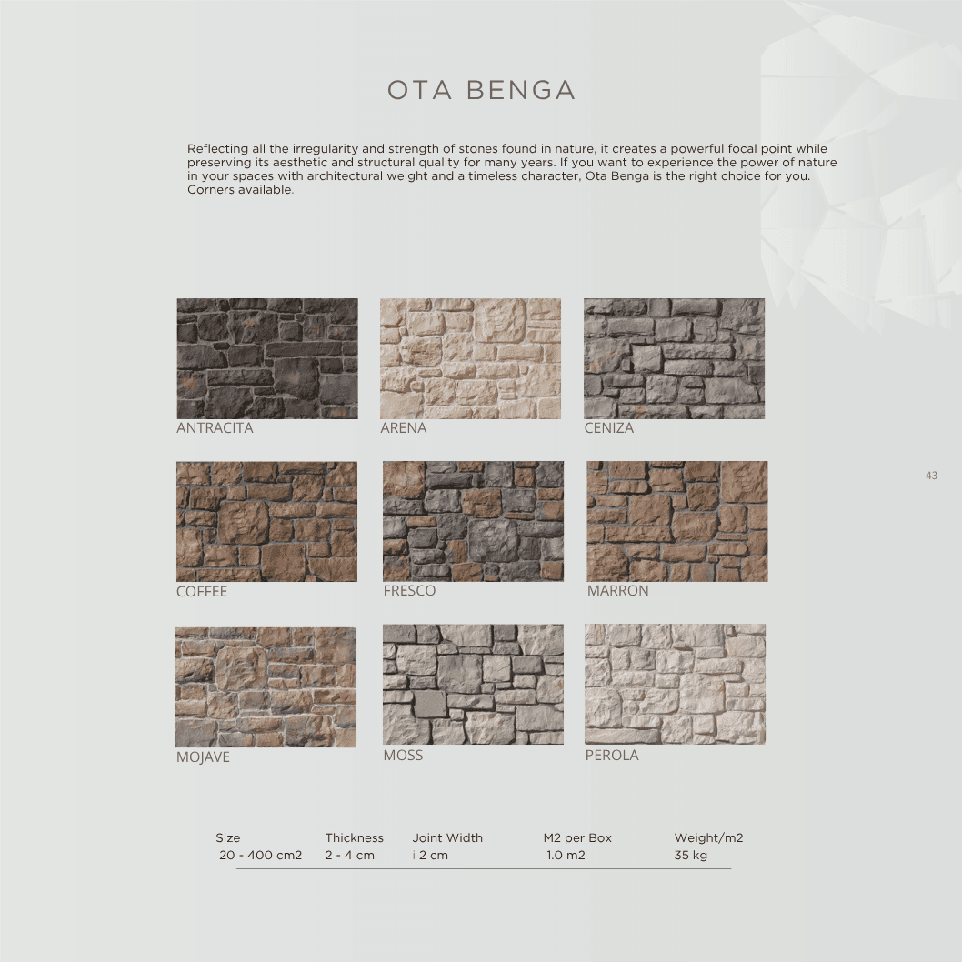 Ota Benga stone definition board